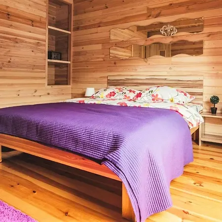 Pod Jastrzebiem * Władysławowo